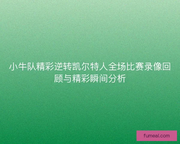 小牛队精彩逆转凯尔特人全场比赛录像回顾与精彩瞬间分析